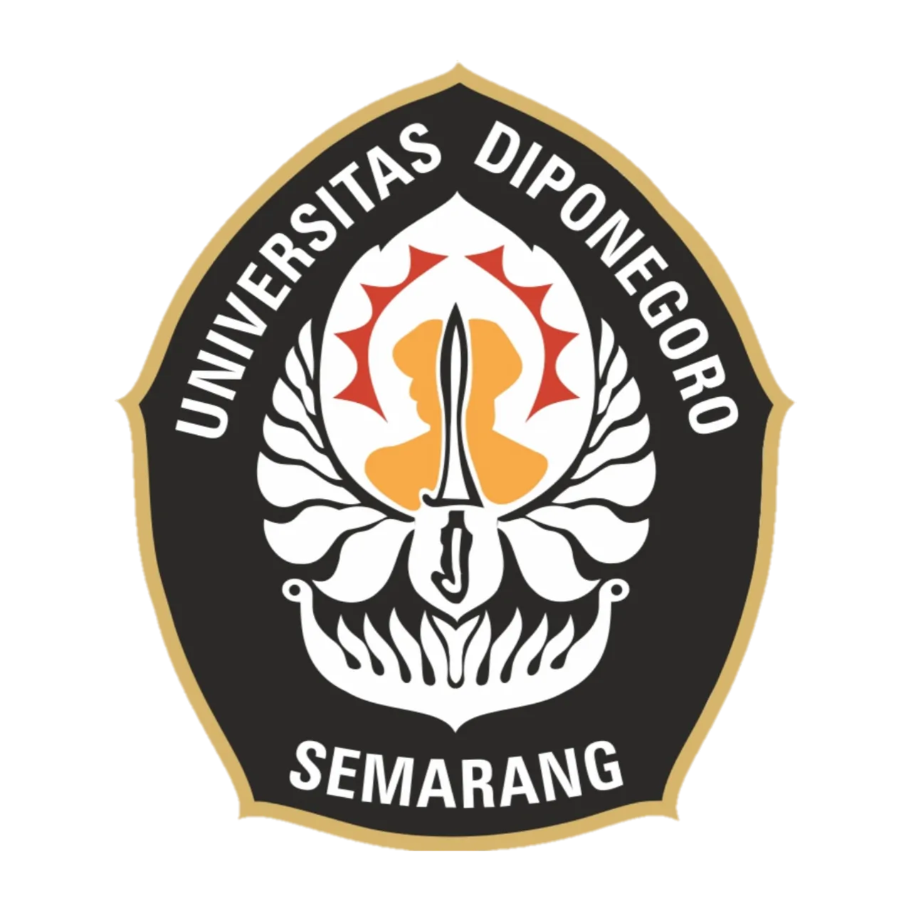 UNDIP